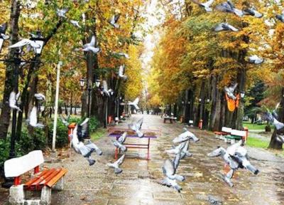 13 فروردین همه بوستان ها و مراکز تفریحی تعطیل است ، در خانه بمانید