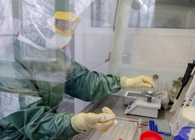 ساخت دستگاه تست دقیق و سریع ویروس کرونا در روسیه