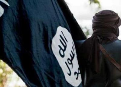 جایز سه میلیون دلاری آمریکا برای مسئول داعشی