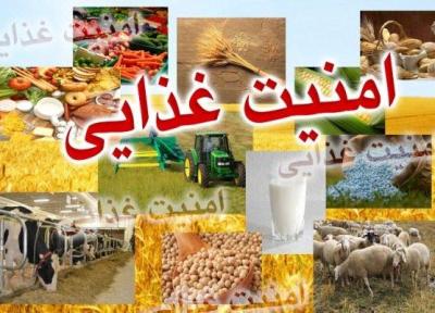 واگذاری دبیرخانه کنسرسیوم غذا و امنیت غذایی به دانشگاه آزاد اراک