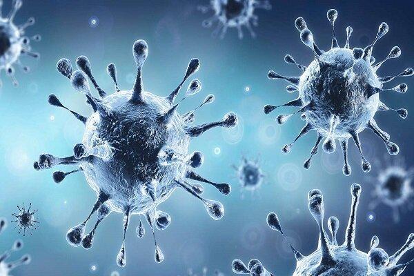 کروناویروس بالغ بر یک ماه در گرد و غبار منزل باقی می ماند